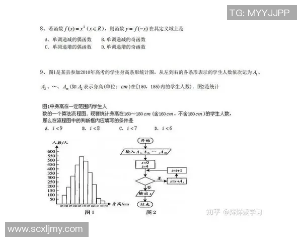 武汉乒乓球队战术解析：构建高效控制体系的成功之道